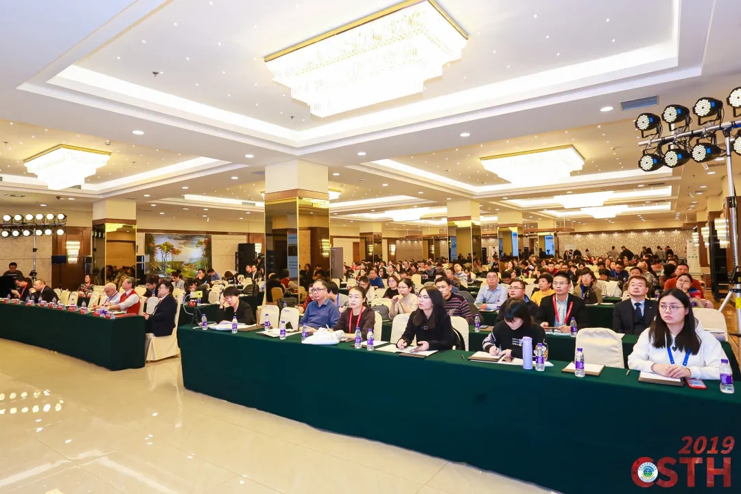 5.webp