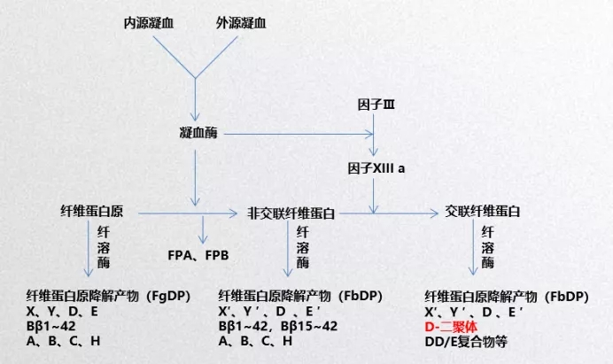 2.webp_fhqGuC